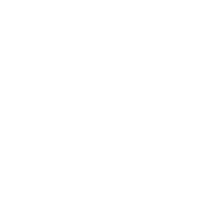 National and digital identity systems icon
